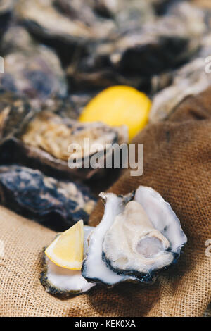 fresh oysters in shell and piece of lemon ready to serve on the cloth sack bag background. selective focus and film style. Stock Photo