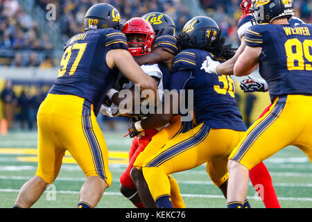 October 21, 2017 - Berkeley, California, U.S - The Cal defense swarms an Arizona RB in NCAA football action at UC Berkeley, California Memorial Stadium, featuring the Arizona Wildcats visiting the California Golden Bears. Arizona won the game 45-44 (Credit Image: © Seth Riskin via ZUMA Wire) Stock Photo