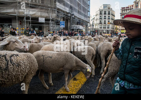 Madrid, Spain. 22nd Oct, 2017. A young boy guides sheep through the streets during the annual transhumance festival in Madrid, Spain. Credit: Marcos del Mazo/Alamy Live News Stock Photo