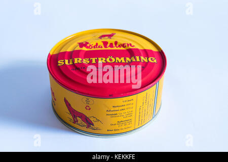 Can of Surströmming is fermented Baltic sea herring often described as the  worst smelling food in the world Stock Photo - Alamy