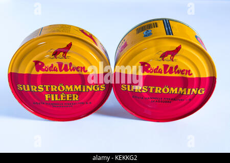 Cans of Roda Ulven surstomming. Considered by many to be the world's smelliest food. Stock Photo