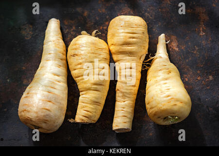 Raw parsnip roots on black surface Stock Photo