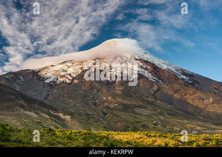 Crater at Volcan Osorno at sunset, Vicente Perez Rosales National Park, Los Lagos Region, Patagonia, Chile Stock Photo