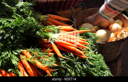 Carrots on sale at the farmer's market Stock Photo