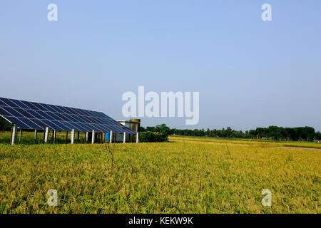 Solar power plant for irrigation at a paddy field in Kustia, Bangladesh. Stock Photo