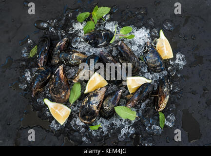 Fresh uncooked mussels with lemon, herbs and spices on chipped ice over dark slate stone backdrop Stock Photo