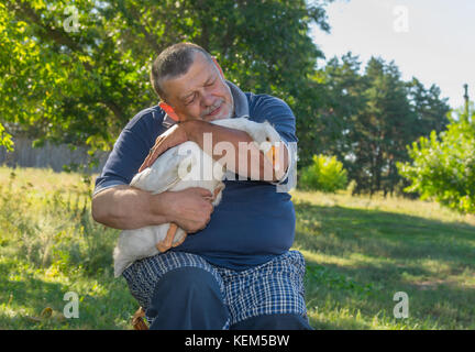 Nice outdoor portrait of sweet friends - senior man and his cute white goose on the hands Stock Photo