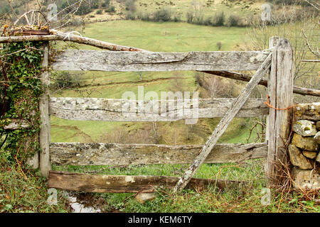 Fence wooden door in a meadow in Asturias, Spain Stock Photo