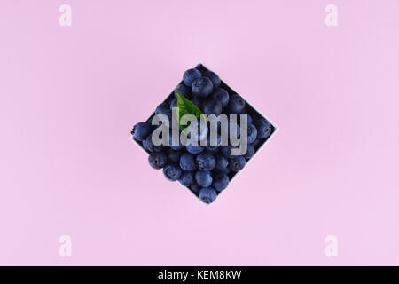 Ripe and juicy fresh picked blueberries on pink trendy background. Flat lay style. Stock Photo