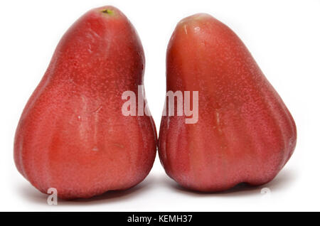 Rose apples or chomphu isolated on white background Stock Photo