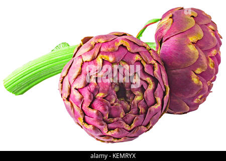 Isolated vegetables. Isolated two artichoke on white background for package design. Stock Photo