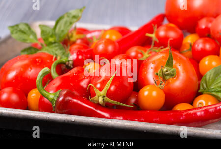 Fresh tomatoes, peppers, with basil on a sheet pan ready for roasting Stock Photo