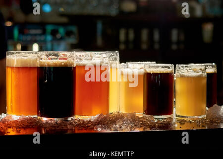 Different sorts of beer in pub. Assorted drinks in glasses for tasting. Assortment of fresh beer in bar. Stock Photo