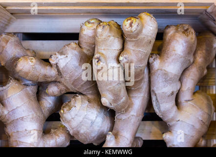 Complete roots of spicy common turmeric ginger, curcuma, fingerroot in a wooden box Stock Photo