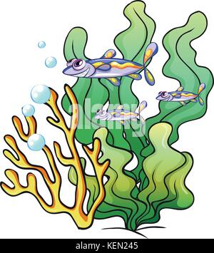 Illustration of the three fishes under the sea near the seaweeds on a white background Stock Vector