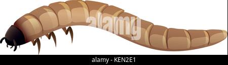 Illustration of a single mealworm Stock Vector
