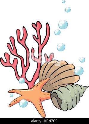 Illustration of the shells and starfish under the sea on a white background Stock Vector
