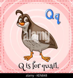 A letter Q for quail Stock Vector