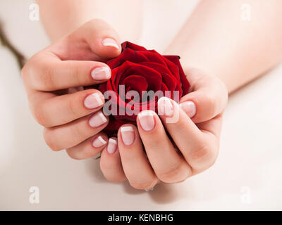 Beautiful woman hand with polished nails in french style  holding rose Stock Photo