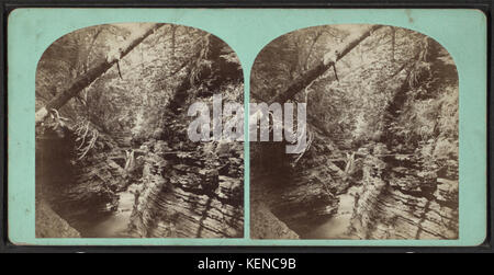 Shadow Gorge, Freer's Glen, Schuyler Co. N. Y., from Robert N. Dennis collection of stereoscopic views Stock Photo