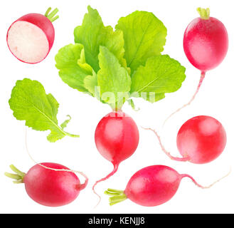 Isolated radishes. Collection of red radish vegetables of different shapes with leaves isolated on white background with clipping path Stock Photo