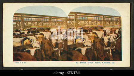 Union Stock Yards (stockyards), Chicago, from Robert N. Dennis collection of stereoscopic views 2 Stock Photo