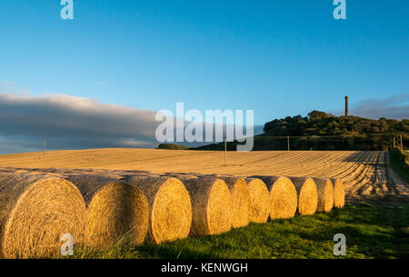 East Lothian, Scotland, United Kingdom, 22nd October 2017.  Low sunlight at the end of the afternoon casts a warm glow across farmland just before dusk with a view of Hopetoun Monument, a Victorian tower, on Byres Hill and rows of round hay bales lit by sunlight in the foreground Stock Photo