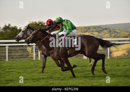 Lady Bergamot takes White Chocolate (1) in the sixth race of the day (the 17:05 Levin Down Fillies' Handicap Stakes) at Goodwood racecourse. Stock Photo