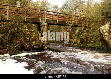 Lynn falls, on Lugton Water west of Dalry, North Ayrshire, Scotland with autumn trees in background. Stock Photo