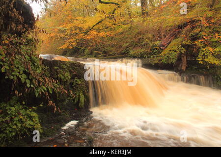 Lynn falls, on Lugton Water west of Dalry, North Ayrshire, Scotland with autumn trees in background. Stock Photo