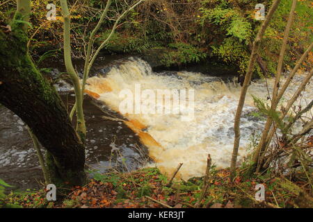 Lynn falls, on Lugton Water west of Dalry, North Ayrshire, Scotland with autumn trees in background. Stock Photo