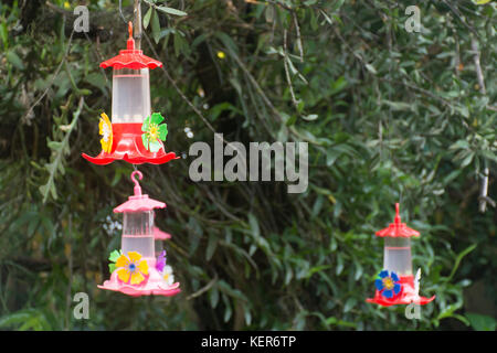 Hummingbird feeder in a garden