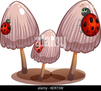 Illustration of the three mushrooms with ladybugs on a white background Stock Vector