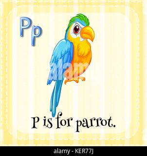 Flashcard letter P is for parrot illustration Stock Vector Image & Art ...