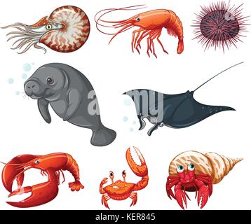 Illustration of different types of sea animals Stock Vector