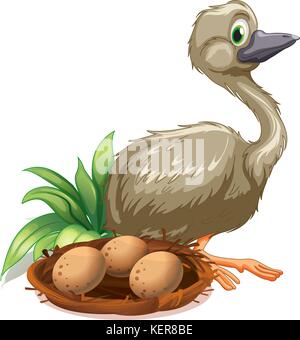 Illustration of an ostrich beside the nest with eggs on a white background Stock Vector