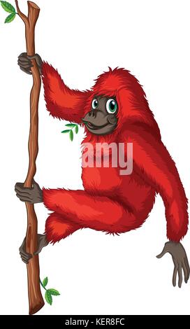 Illustration of a close up orangutan Stock Vector