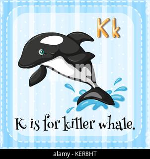 Illustration of a letter K is for killer whale Stock Vector