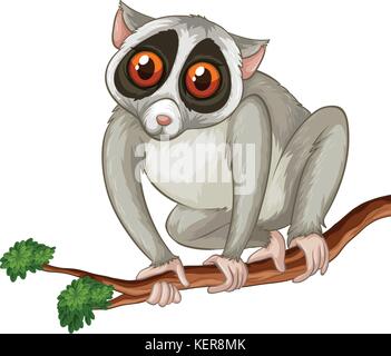 Illustration of a close up loris on a branch Stock Vector
