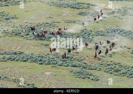 Aerial photo of wild mustangs in Wyoming Stock Photo