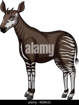 Illustration of a close up okapi Stock Vector