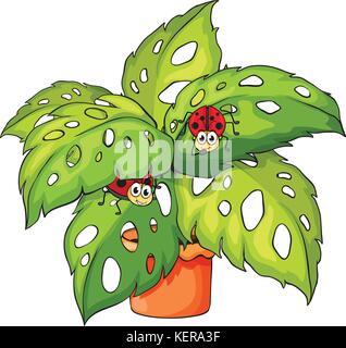 Illustration of a plant with ladybugs on a white background Stock Vector