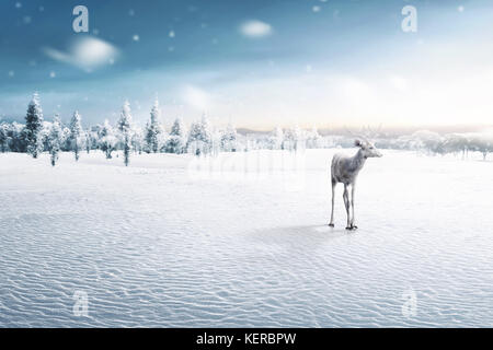 Portrait of reindeer with antlers on winter field Stock Photo