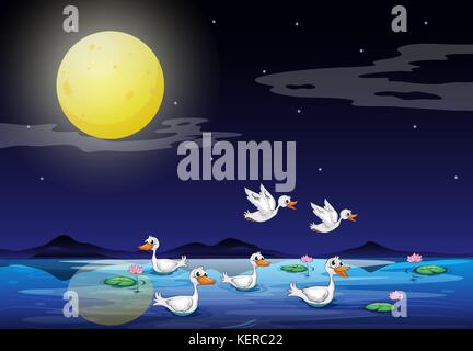 Illustration of the ducks at the pond in a moonlight scenery Stock Vector