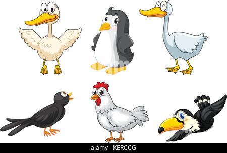 Illustration of the different kinds of birds on a white background Stock Vector