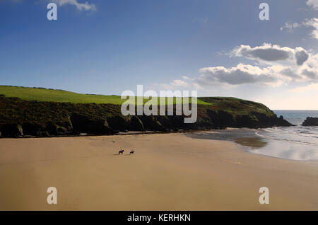 Horse riding on Stradbally Strand, the Copper Coast, County Waterford, Ireland Stock Photo