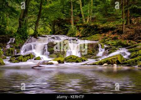Wasserfall Harz Selkewasserfall Stock Photo