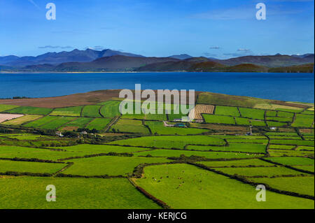 Small Green Fields in an Irish Rural Landscape, Near Bull's Head, Dingle Peninsula, County Kerry, Ireland Stock Photo