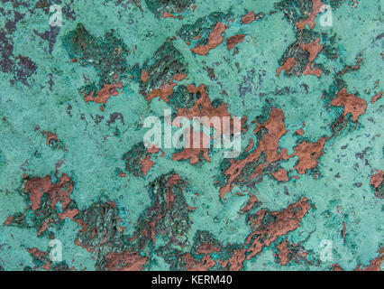 Native Copper specimen, Quincy Mine, Michigan USA by Bruce Montagne/Dembinsky Photo Associates Stock Photo