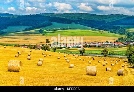 Straw bales on a wheat field in Slovakia Stock Photo